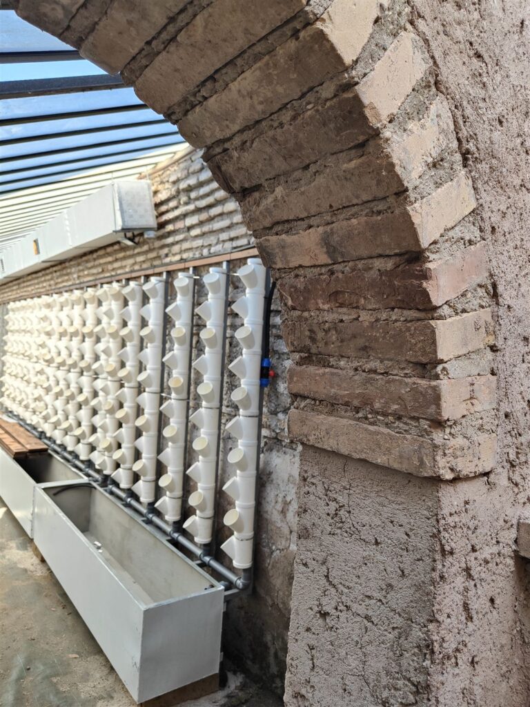Installazione delle torri idroponiche H4O nella serra storica del Casale dei Cedrati