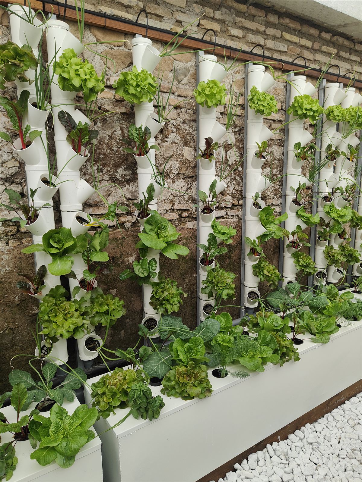 Parete verde di torri idroponiche H4O nella serra storica di Villa Pamphili