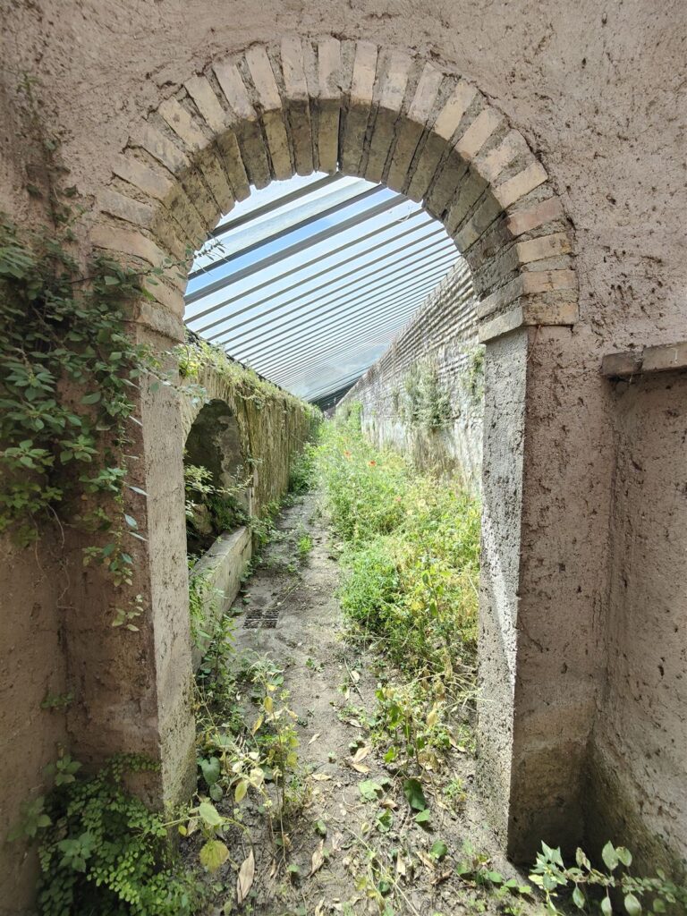Serra storica delle ananas del Casale dei Cedrati prima del recupero