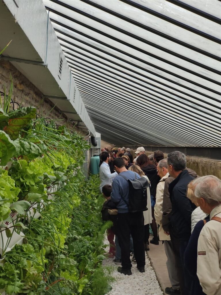 Visita guidata alla serra storica recuperata del Casale dei Cedrati