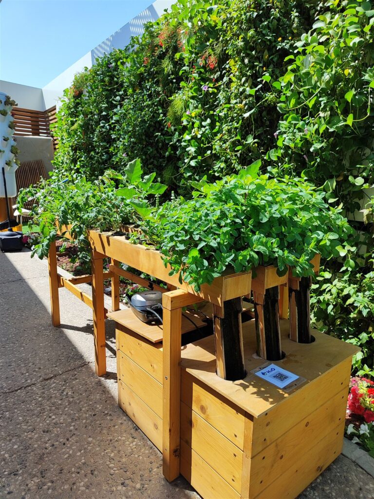 Modulo idroponico organico H4O in legno al Padiglione Italia di Expo Doha