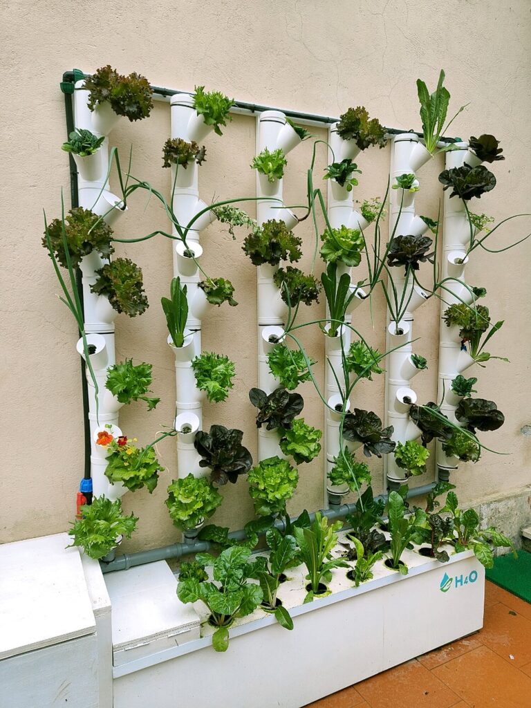 Parete di torri idroponiche organiche H4O piena di insalate