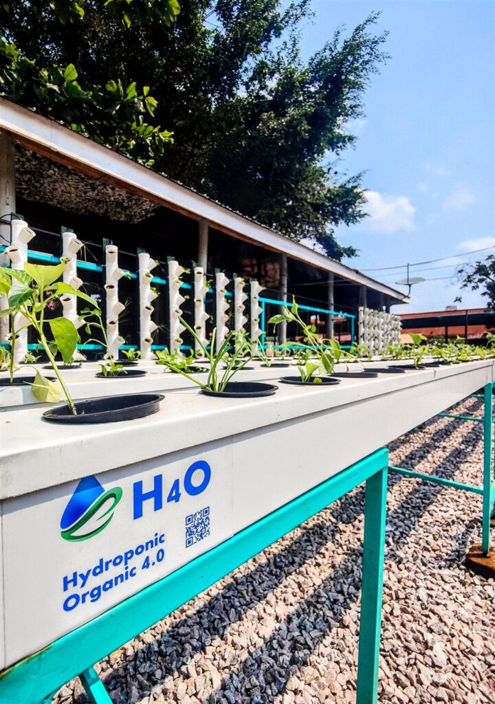 Modulo H4O Hydroponic Organic 4.0 installato a Kampala, Uganda