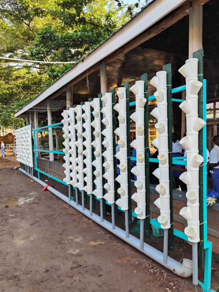 Torri verticali idroponiche H4O alla St. Kizito High School, Kampala